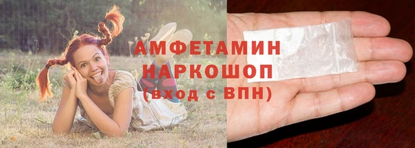 хмурый Абаза
