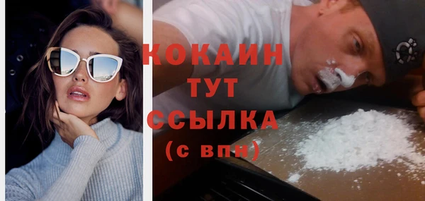 хмурый Абаза