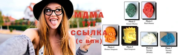 apvp Няндома