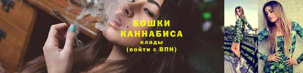 apvp Няндома