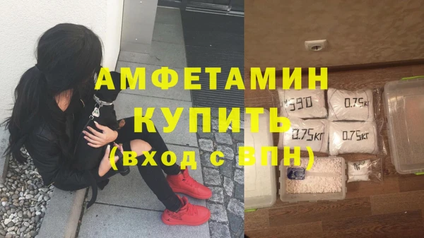 хмурый Абаза