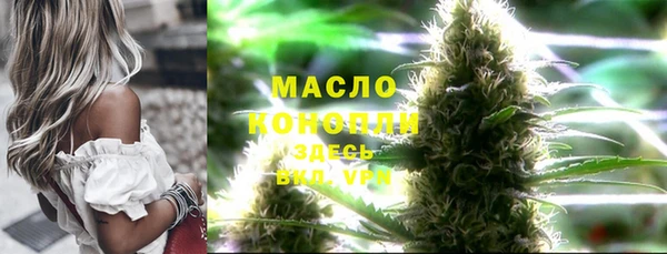 хмурый Абаза