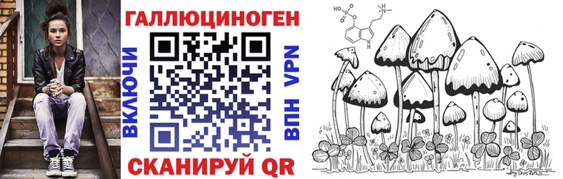 продажа наркотиков Тюкалинск Псилоцибиновые грибы Cubensis